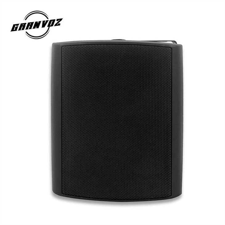 mounted speaker